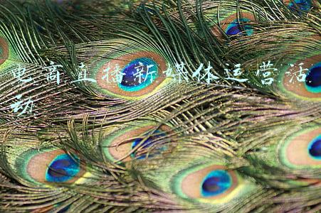 电商直播新媒体运营活动