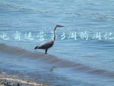 电商运营实训周记(来了！网信工作周记（7.10-7.16）)