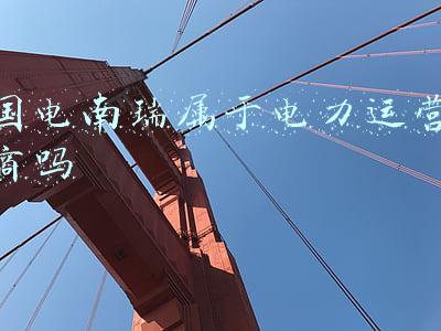 国电南瑞属于电力运营商吗