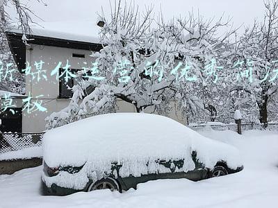 新媒体简历模板(这份新媒体运营简历才能吸引HR的目光！「浙江优就业」)