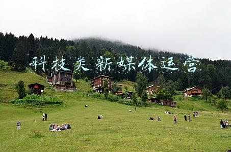 新媒体运营技术(一名合格的新媒体运营需要具备哪些能力？)