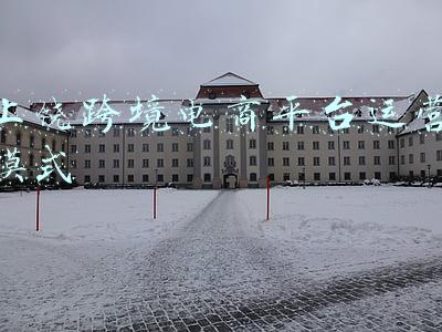 上饶跨境电商平台运营模式