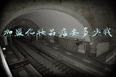 化妆品店加盟排名前十_化妆品店 加盟