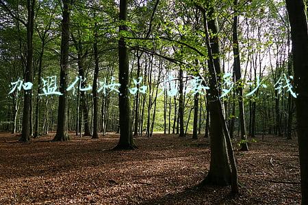 化妆品加盟店招商《化妆品加盟店招商加盟》