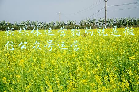 新媒体微信公众号论文(论文实例：利用新媒体充分挖掘经典文化的传统美德)
