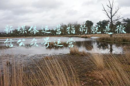 微信公众号作为新媒体(新媒体融入课程思政 助力“三全育人”)