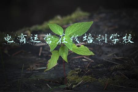 电商运营在线培训学校