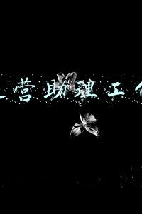 电商运营助理工作图表