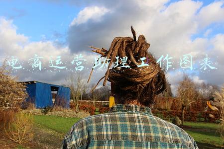 电商运营助理工作图表