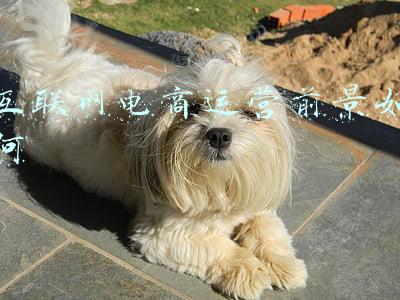 互联网电商运营模式(杭州蓝韵网络 | 这些电子商务经营模式你真的懂嘛？)