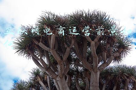 互联网电商运营是什么(互联网运营的概念和常见运营类别)