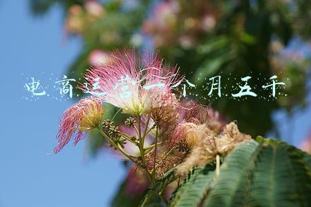 电商一月收入(生鲜电商加持传统产销渠道，凉山90后女孩返乡创业卖水果年营业额超八千万)