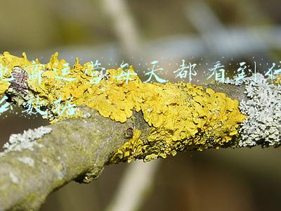 电商运营每天都看的是什么数据(想知道竞争对手的每日数据？用这个就可以了（建议收藏）)