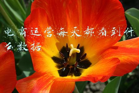 电商运营每天都看到什么数据