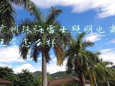 珠海雷士照明公司简介(雷士之争下半场：等待开庭的吴长江与面对“内讧”的王冬雷)