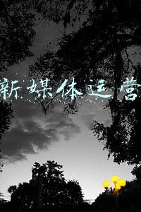 扬州新媒体运营招聘