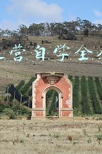 电商运营自学全套教程排名