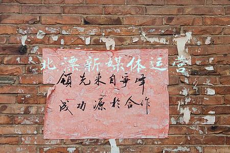 北漂氢氧化钙(做最辛苦的北漂，住地下室10年，他终于被权威认可)