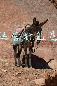 电商运营打包是什么