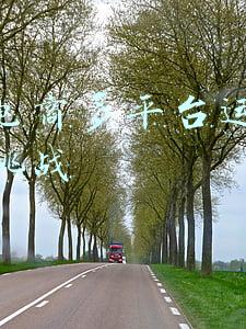 跨境电商的挑战有哪些(把握全球新兴市场“危与机”，这场交流会带你解析跨境电商“出海淘金”广东实践)