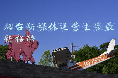 烟台媒体(上周，海外社交媒体这样报道烟台)