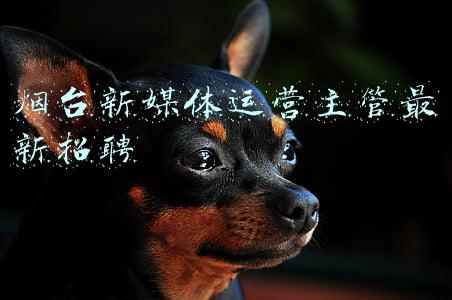 烟台方片新媒体(魅力烟台“圈粉”大湾区媒体团！“2021粤港澳大湾区主流媒体山东行”活动走进烟台探寻产业发展之道)
