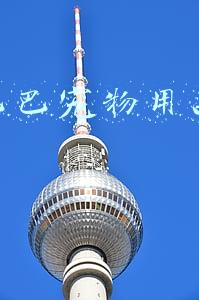 阿里巴巴宠物用品电商运营