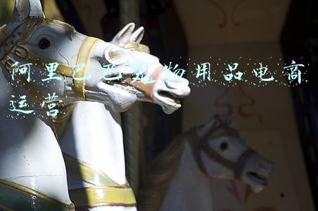 阿里巴巴宠物用品电商运营