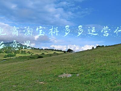 临清电商淘宝运营(“淘宝镇”临清烟店：24岁小伙开网店，年销售额5000万元)