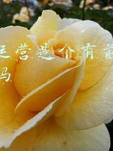 电商运营是个有前景的工作吗