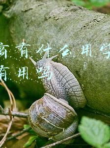 学电商有什么好处(让我们聊一聊发展迅速的电商对当今老百姓的好与坏)