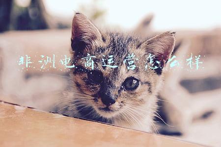非洲电商运营怎么样