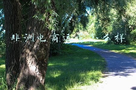 非洲电商运营怎么样