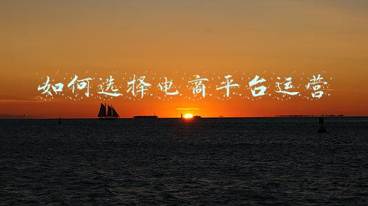 新手电商平台选择(小白新手想进入电商行业适合哪个平台？)