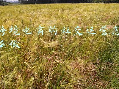 跨境电商的社交运营怎么做