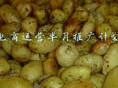 电商运营半月推广计划