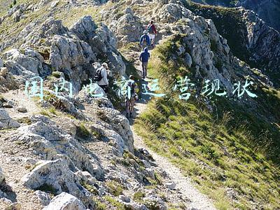 国内电商运营现状