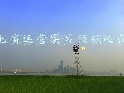 电商运营实训心得(新型职业农民之农村电商培训学习心得)