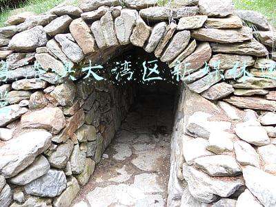 粤港澳大湾区发展论坛组委会(粤港澳大湾区文化产业持续向好发展)