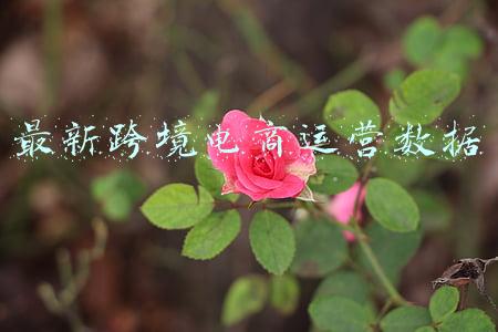 最新跨境电商新闻(商务部：将完善跨境电商综试区评估和退出机制，动态调整促进优胜劣汰)