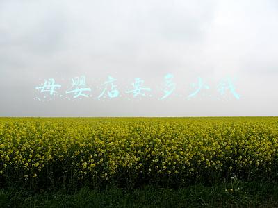 母婴店需要多少钱《开一个母婴店需要多少钱》