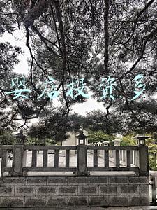 投资孕婴店多少钱-开一个母婴店要投资多少钱