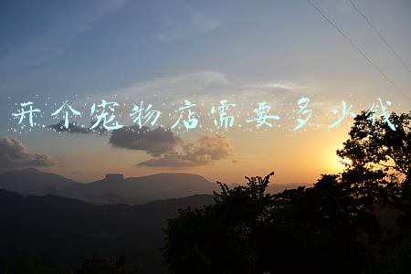在县城开个宠物店需要多少钱-县城开宠物店怎么样