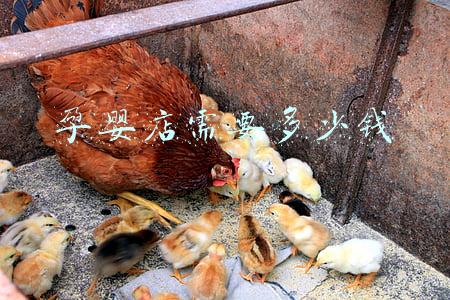 开孕婴店投资多少?(开孕婴店需要多少钱)