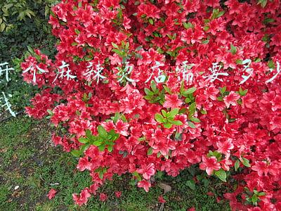 开个麻辣烫需要多少钱-开个麻辣烫店需要投资多少