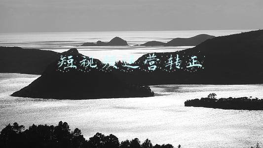 短视频运营转正