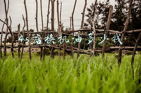 一般4s店换机油多少钱的工时费-一般4s店换机油多少钱