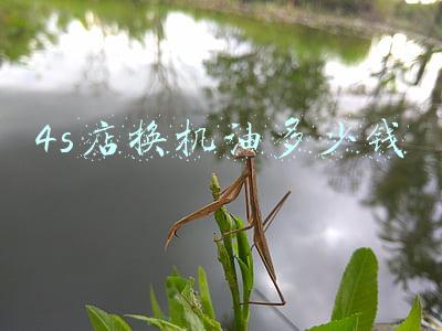 买了机油去店里换一般多少钱_到店换机油多少钱一次