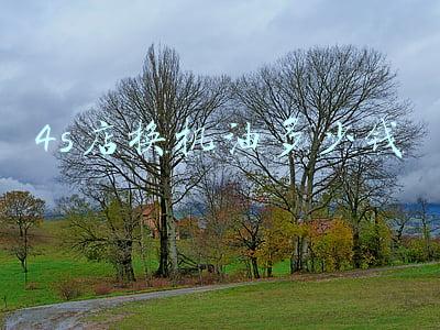 4s店全合成机油多少钱一桶：4s店全合成机油多少钱