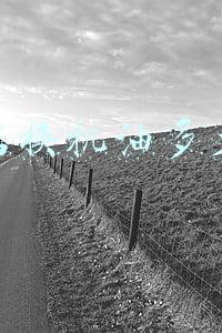 汽车换机油一定要去4s店吗：换机油一定要去4s店吗